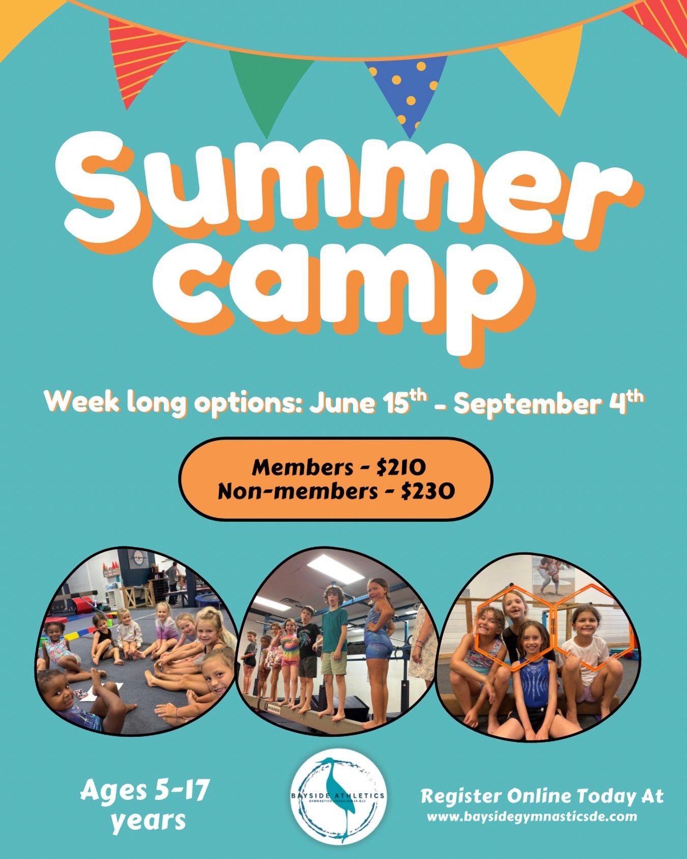 Bayside Summer Camp Flyer